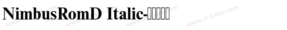 NimbusRomD Italic字体转换